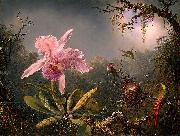 Martin Johnson Heade, Cattleya Orchid and Three Brazilian Hummingbirds